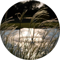 Parkside at Mayfield Ranch Location